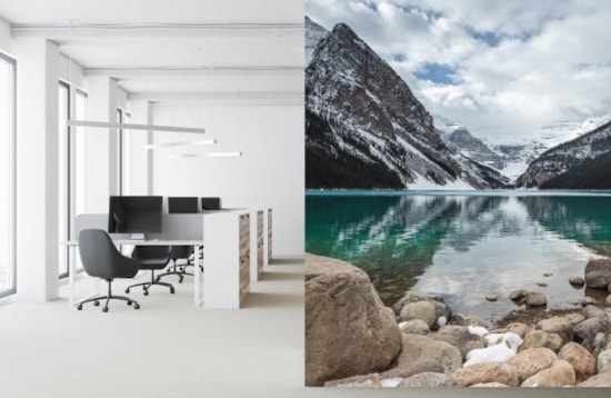 Custom Window & Wall Decals